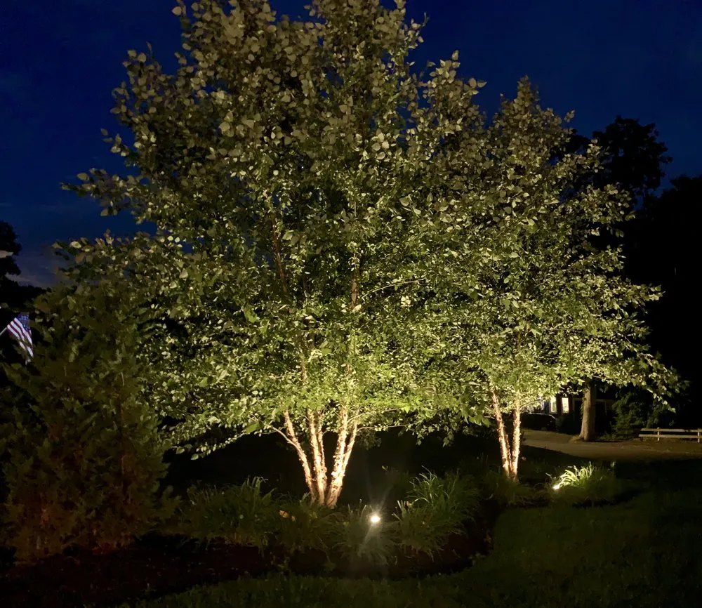 Slide of Night View Landscape Lighting