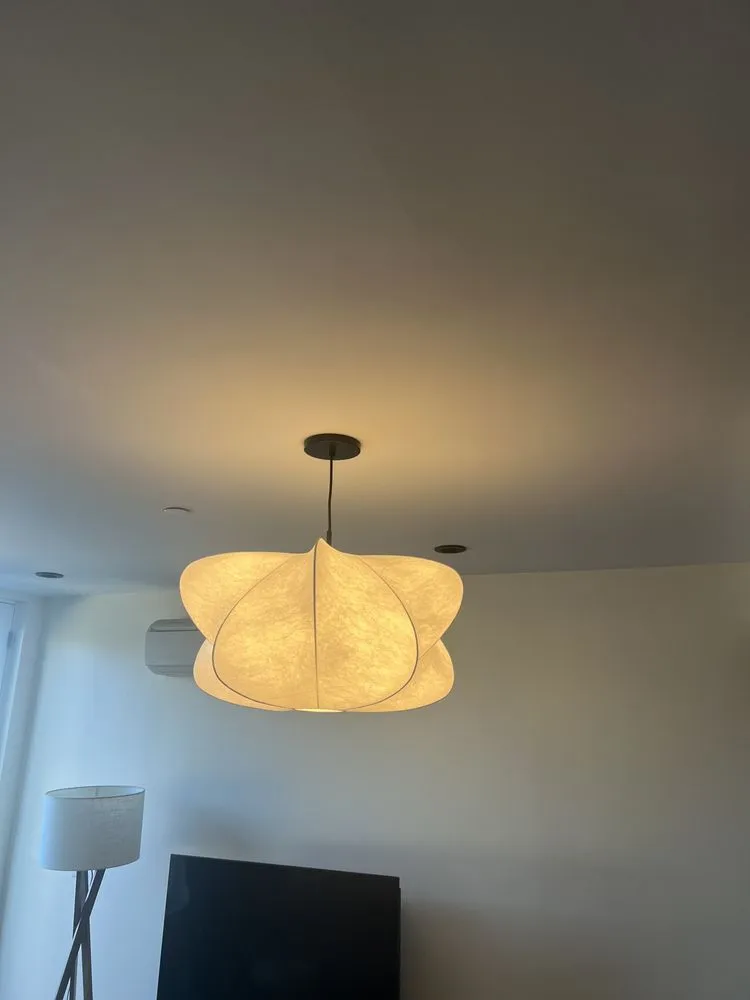 Slide of Nikita Electrician