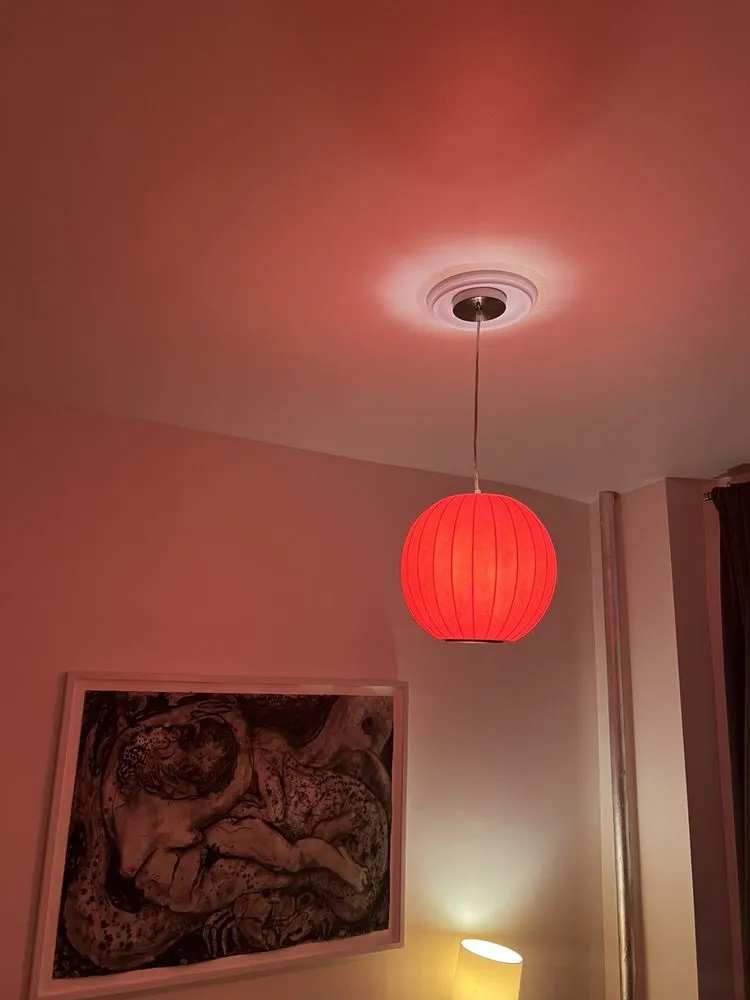 Slide of Nikita Electrician