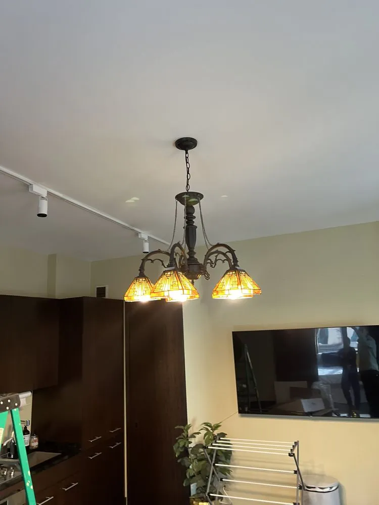 Slide of Nikita Electrician