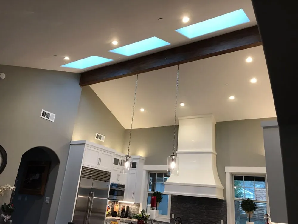 Slide of Nikola Tesla Electric