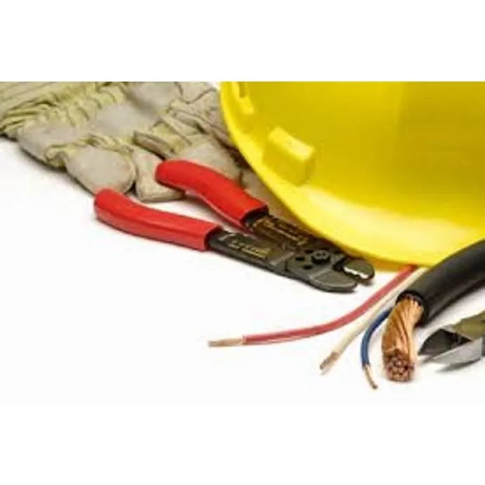 Slide of Nikola Tesla Electric