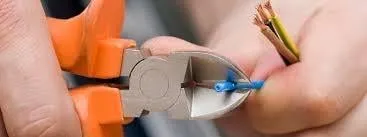 Slide of Nikola Tesla Electric