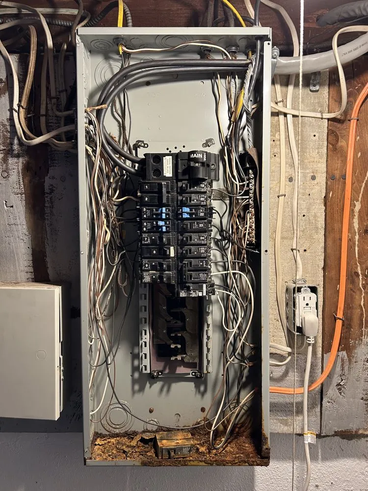 Slide of Nitram Aloe