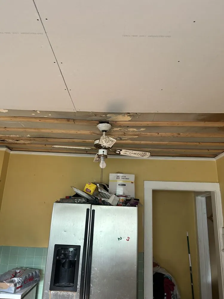 Slide of Nitram Aloe