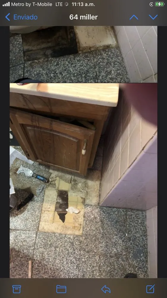 Slide of Nitram Aloe