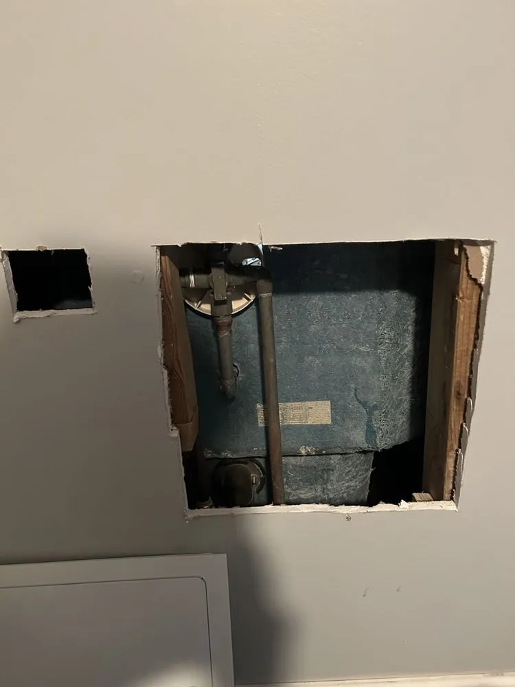 Slide of Nitram Aloe