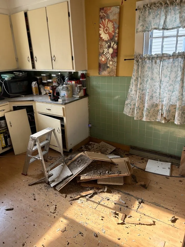 Slide of Nitram Aloe