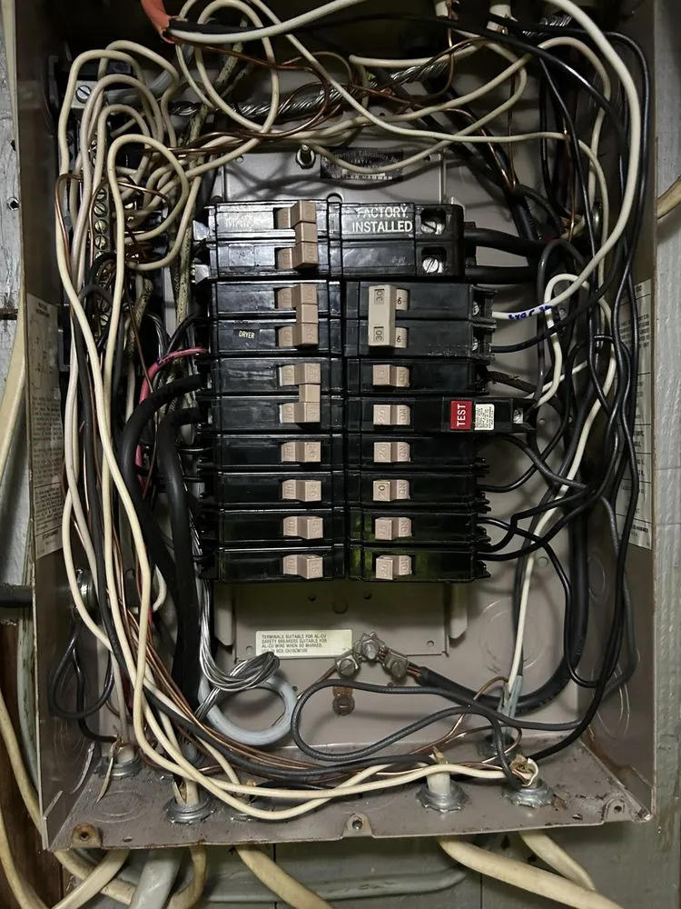 Slide of Nitram Aloe