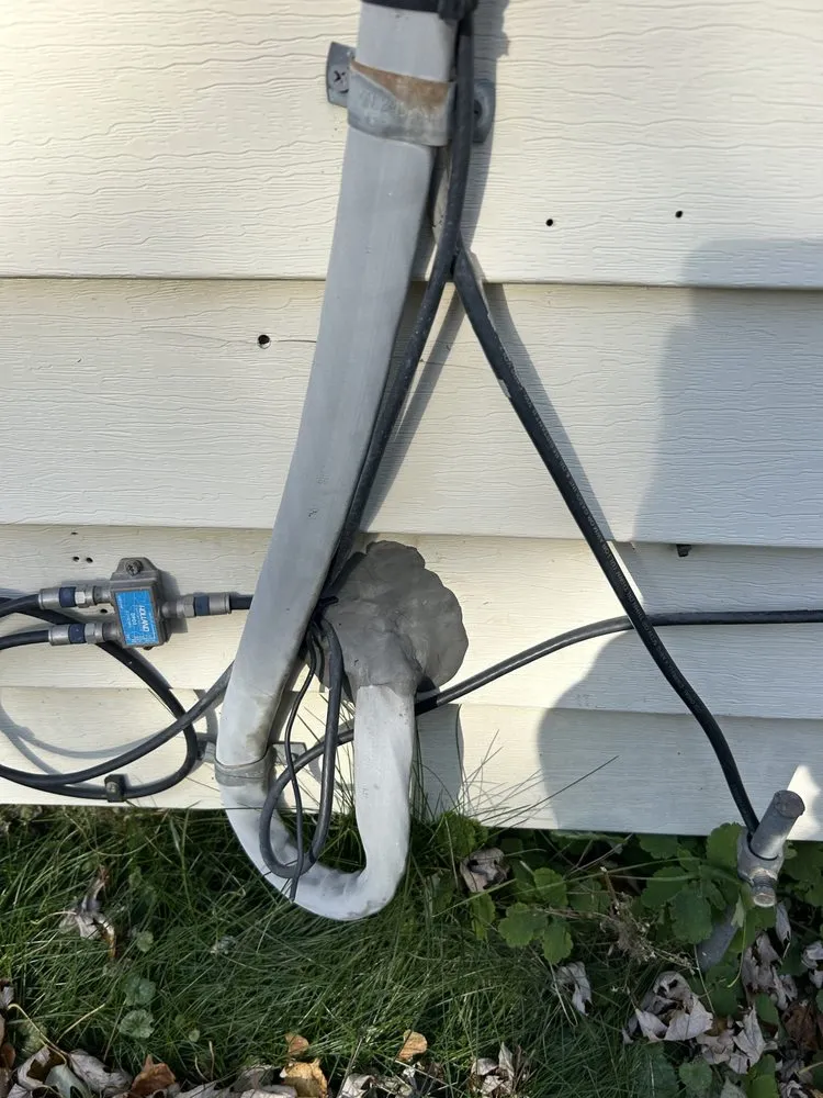 Slide of Nitram Aloe