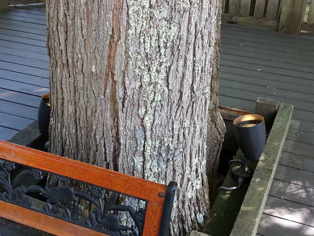 Slide of NJF Electrical Services