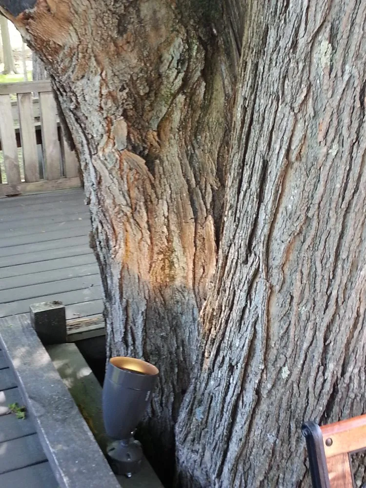 Slide of NJF Electrical Services