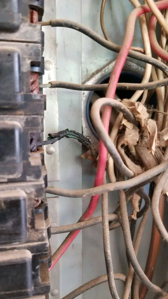 Slide of No Wattz Electric