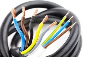 Slide of Noble Electrician