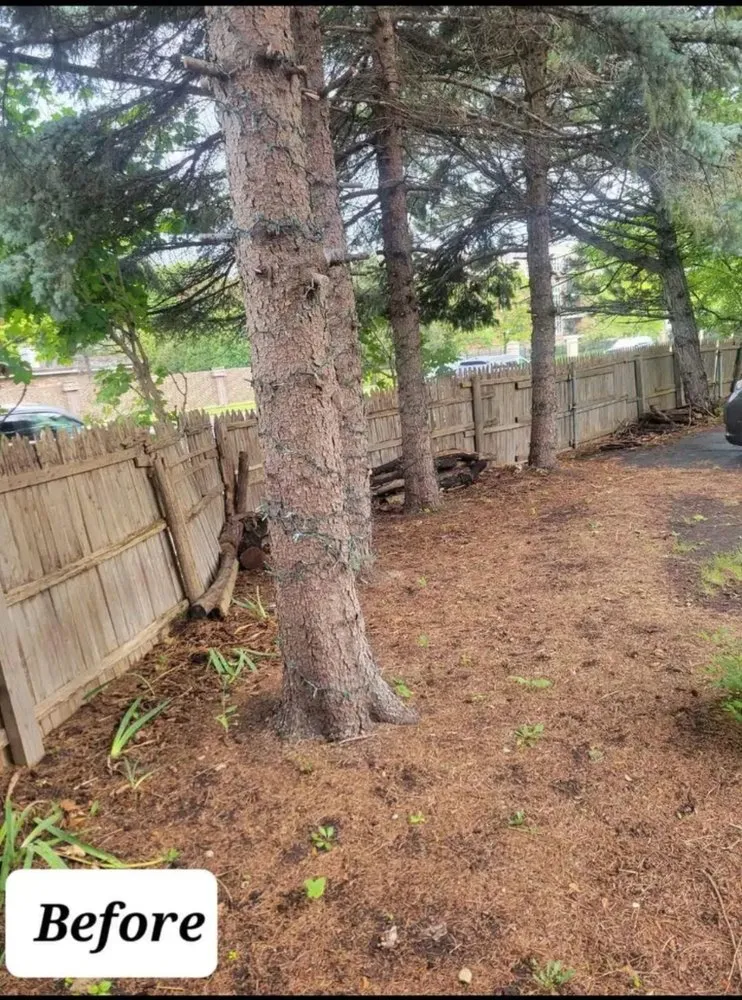 Slide of Noel Painting