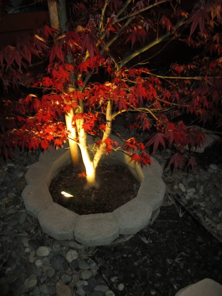 Slide of Norcal Electric