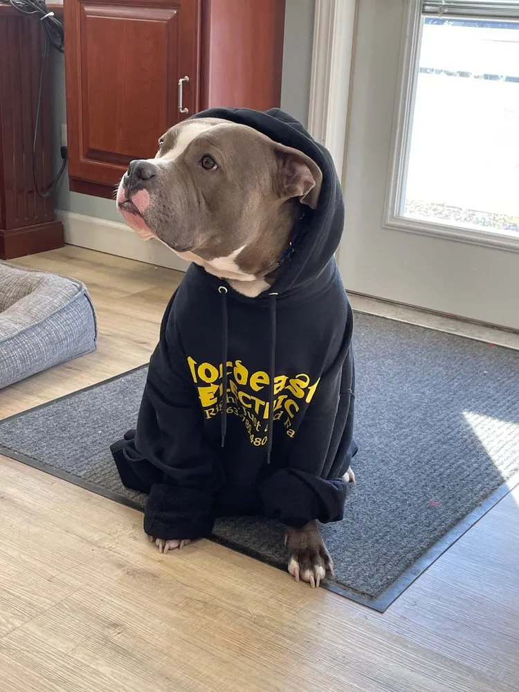 Slide of Nordeast Electric