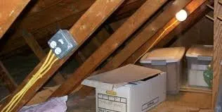 Slide of Norman Cruz