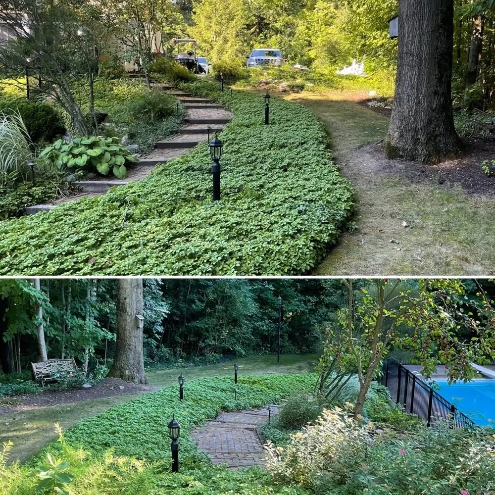 Slide of North Shore Electric