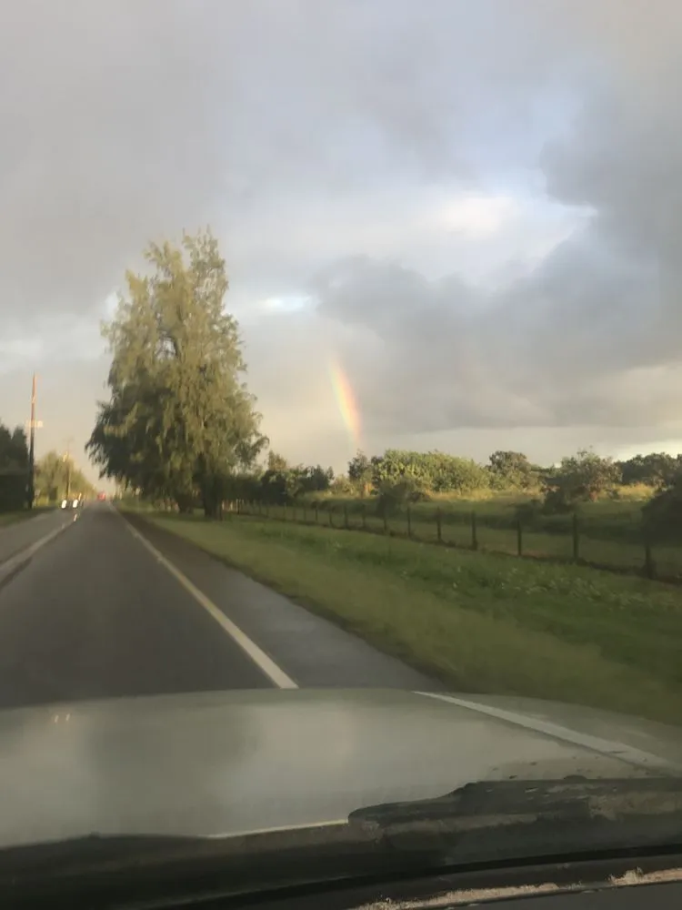 Slide of North Shore Electric Hawaii