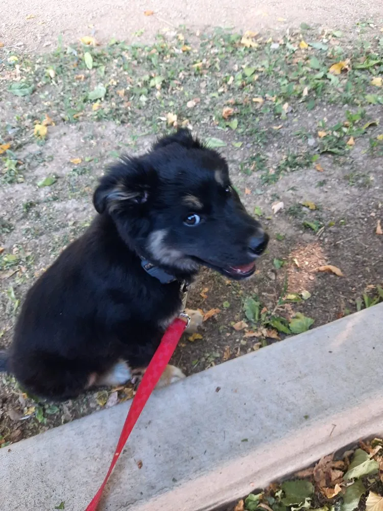 Slide of Northern Arizona Best Handyman