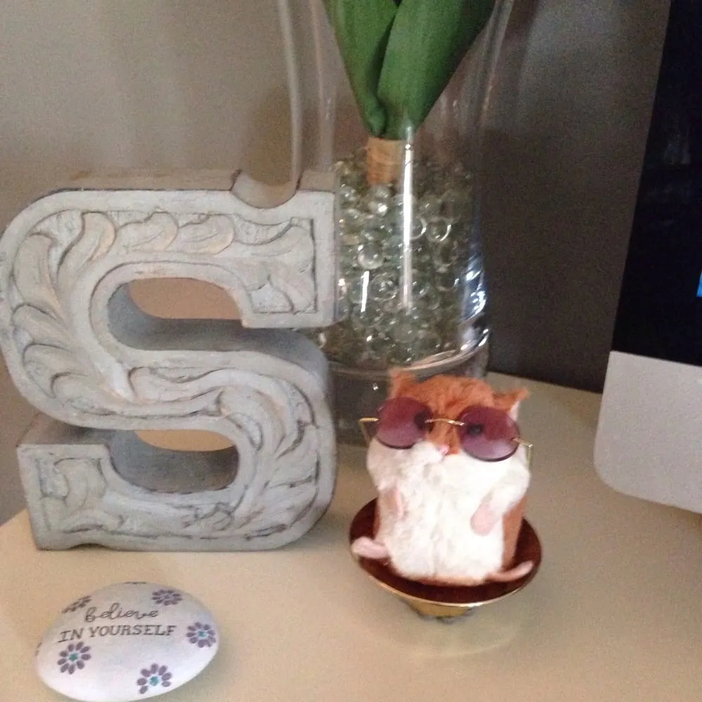 Slide of Northern Lighting and Electric