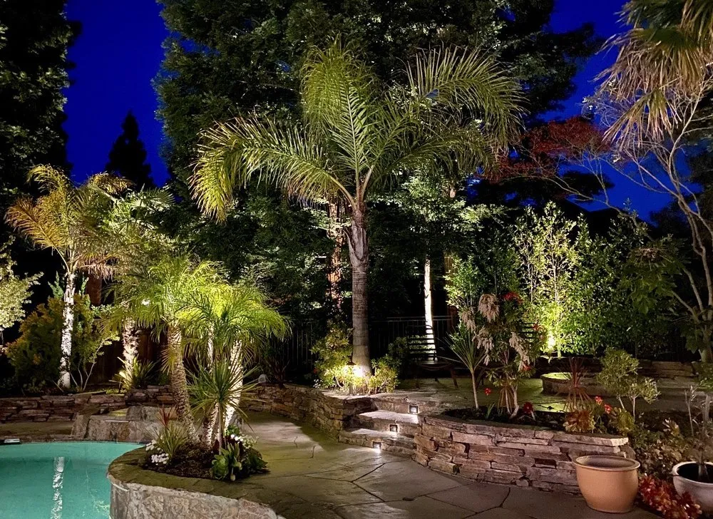 Slide of Northern Lights Electric