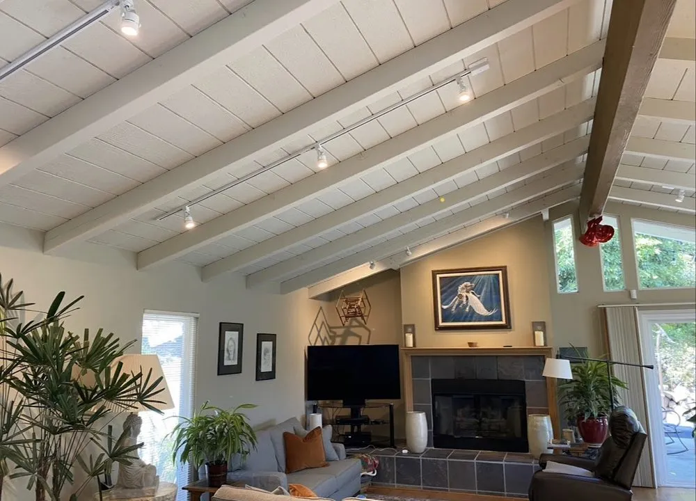 Slide of Northern Lights Electric