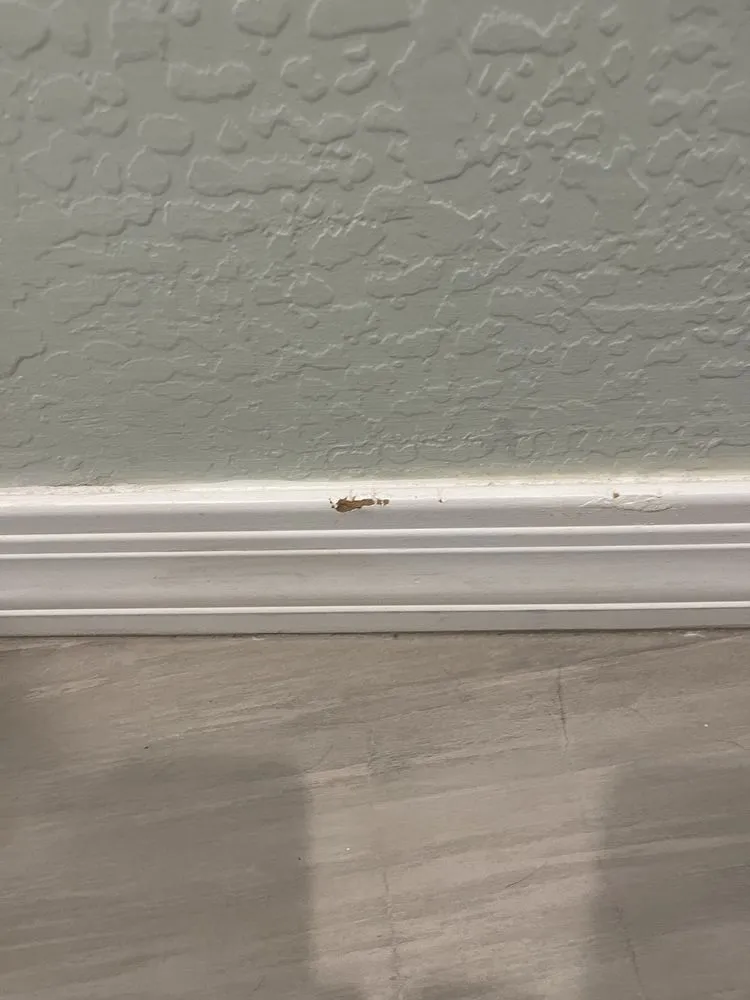 Licensed electrician providing electrical repair in , 