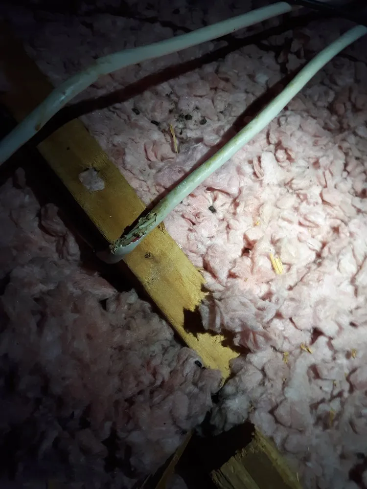 Slide of Norva Electric