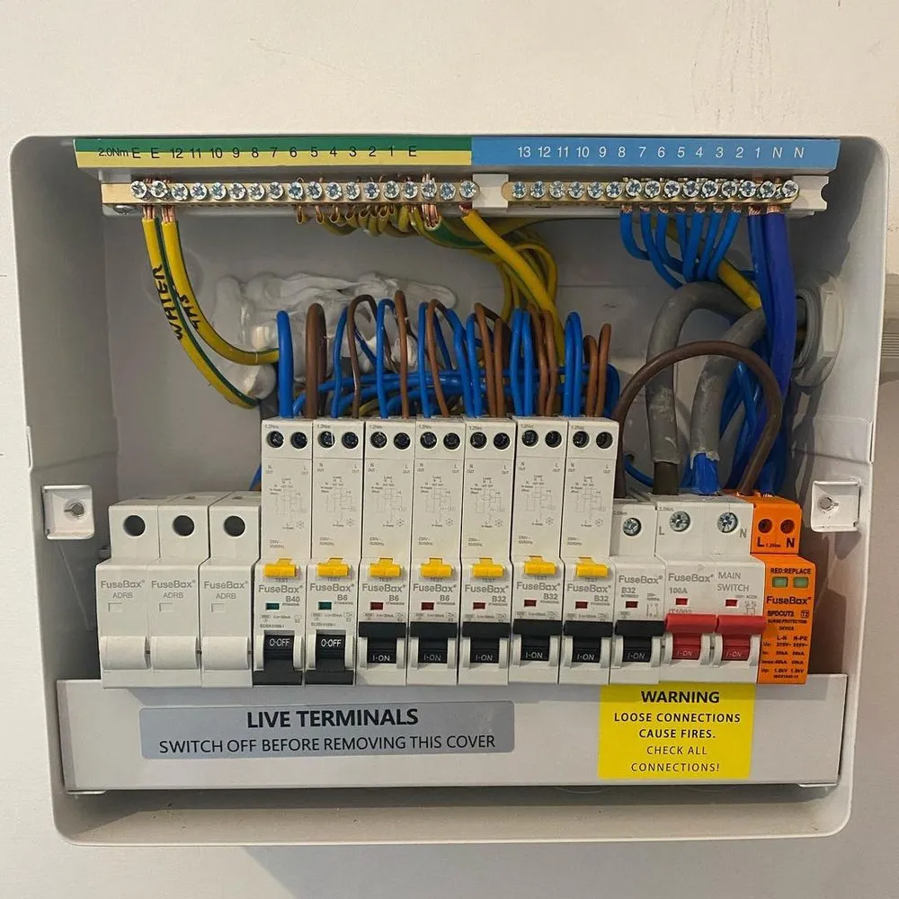 Slide of Nuclear Electrical Services