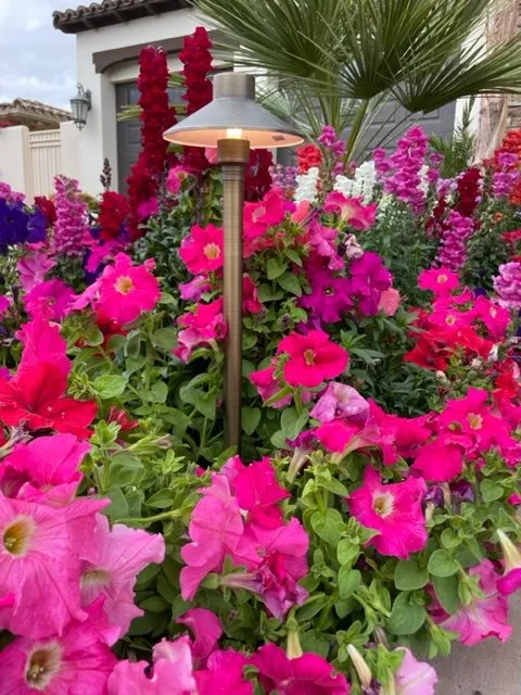 Slide of Nunez Electric