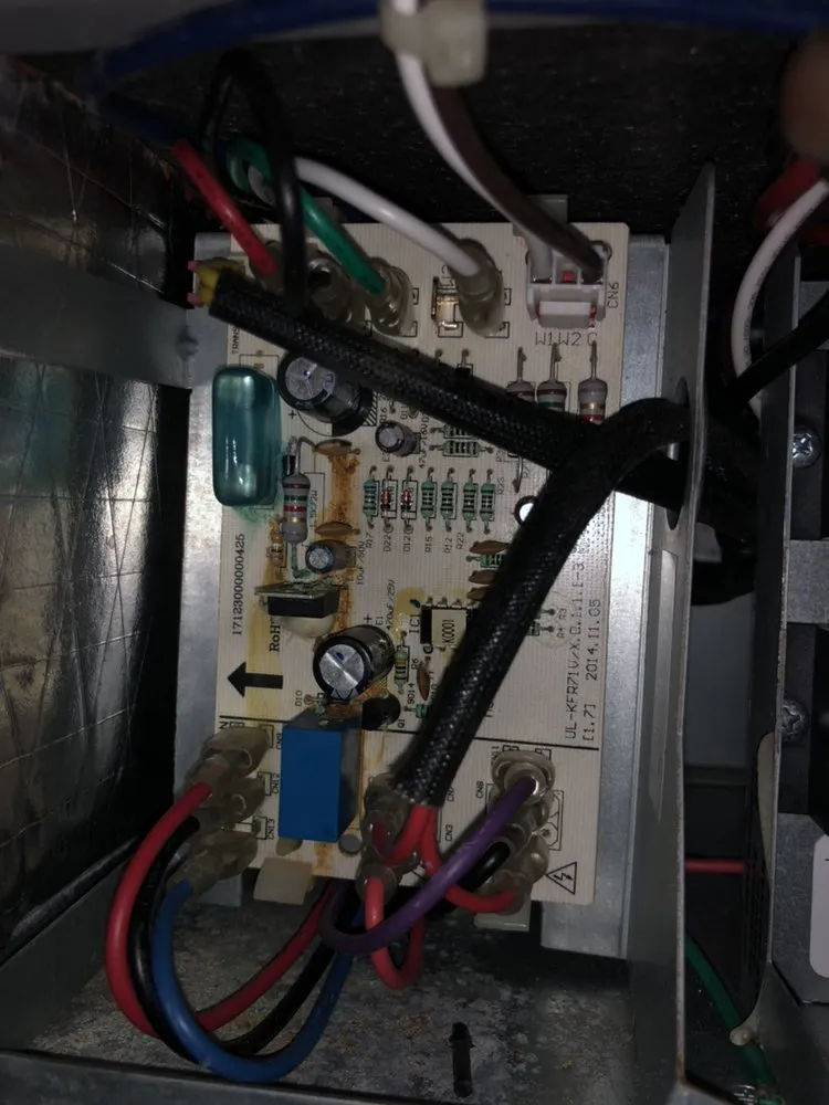 Slide of Nuri Creature Comforts