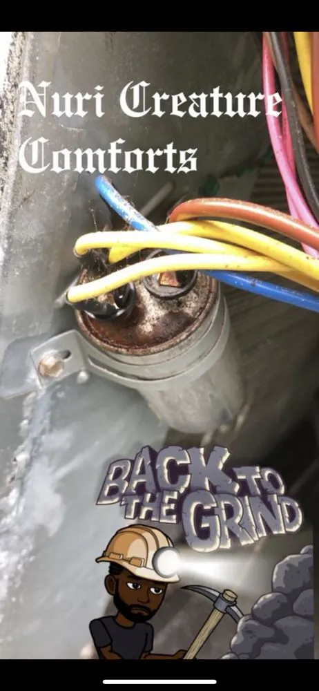 Slide of Nuri Creature Comforts