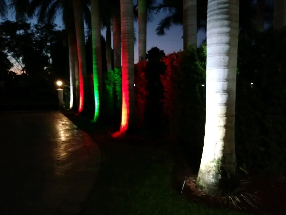 Slide of OC Wirezoid