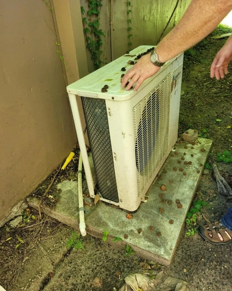 Slide of Ocala Handyman