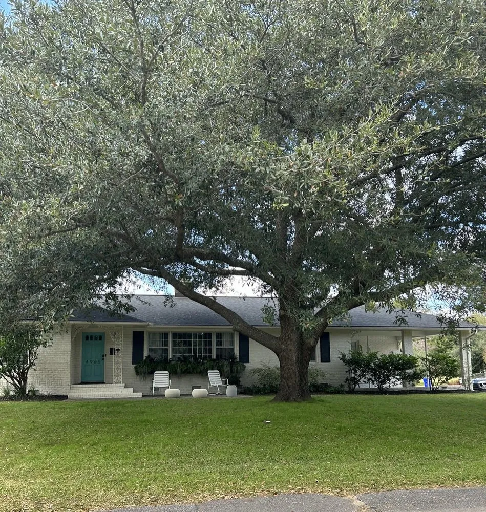 Slide of Oceanview Contracting