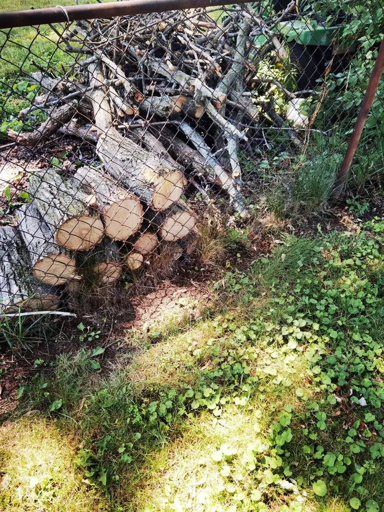 Slide of O'Connell Electric Company