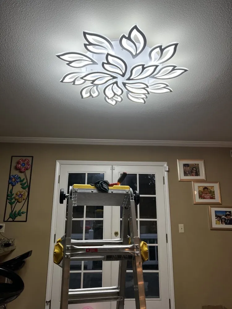 Slide of Octopus Energy