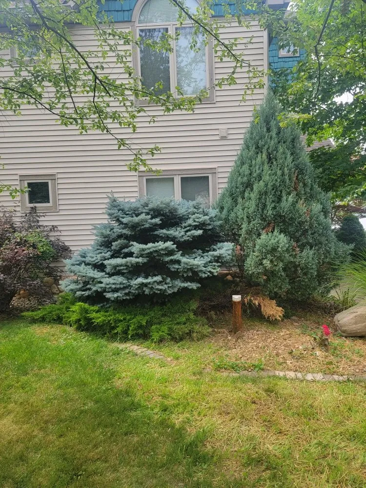 Slide of Odd Jobber Handyman Services