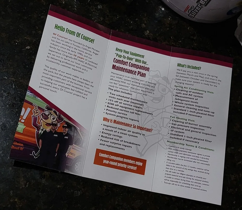 Professional electrician providing outlet and switch repair in , 