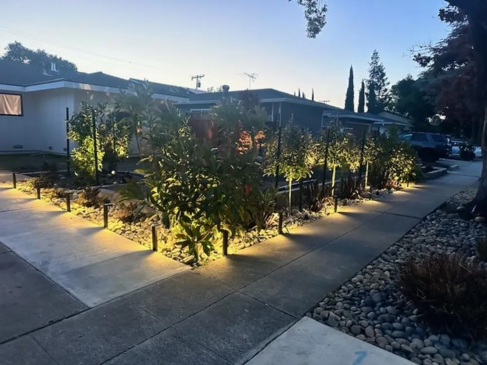 Slide of Old Oak Electric