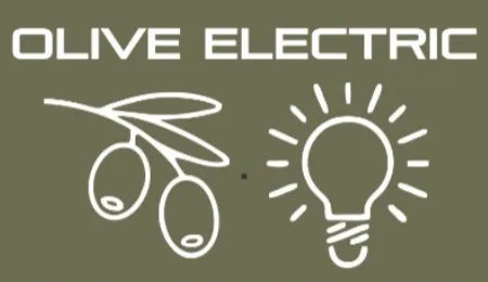 Slide of Olive Electric