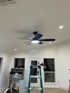 Slide of Olive Electric