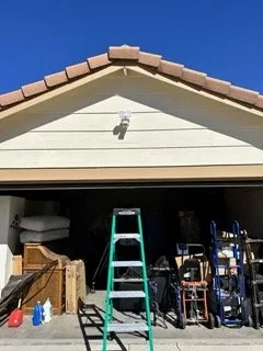 Slide of Olive Electric