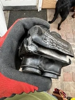 Slide of Olive Electric