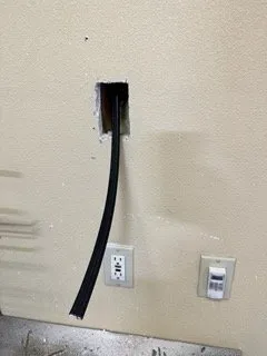 Slide of Olive Electric