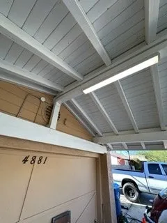 Slide of Olive Electric