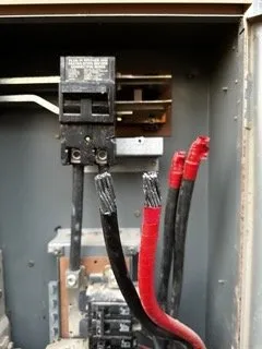 Slide of Olive Electric