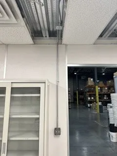 Slide of Olive Electric